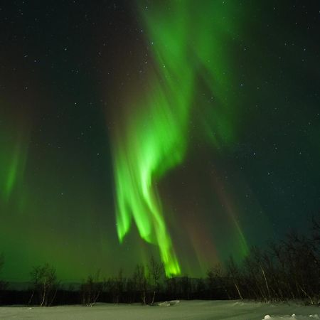 Northern Light Huts - Paradise Lapland Kiruna Exteriér fotografie