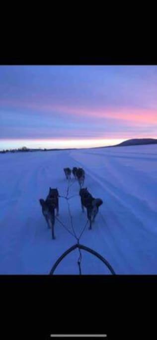 Northern Light Huts - Paradise Lapland Kiruna Exteriér fotografie